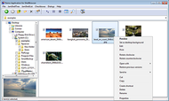 ShellBrowser Components for Delphi Win32 screenshot